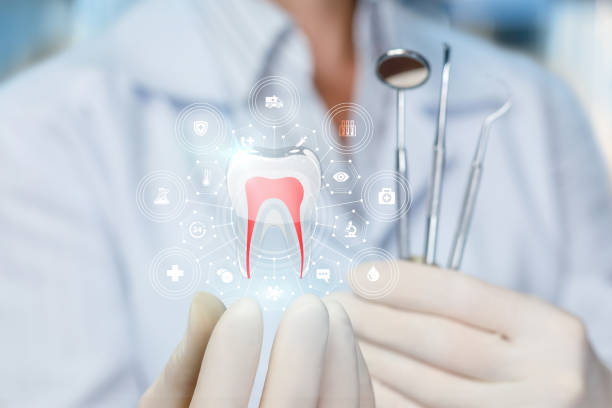  Lolo, MT Holistic Dental Care Services Pros